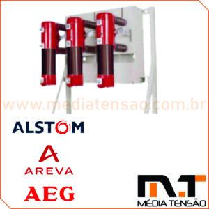 Areva – Acessórios e Peças para DSF 356