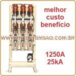 Disjuntor Schneider Evokit Easypact Evolis Vacuo 17.5kV 630A 1250A 25kA On Board com Rele Transformadores de Corrente e Potencial