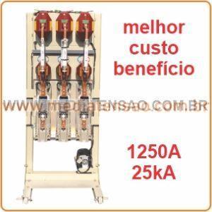 Disjuntor Schneider Evokit Easypact Evolis Vacuo 17.5kV 630A 1250A 25kA On Board com Rele Transformadores de Corrente e Potencial